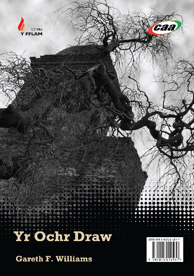 Cyfres y Fflam: Yr Ochr Draw/Yr Eneth Gadd ei Gwrthod