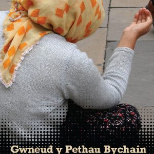 Cyfres y Fflam: Gwneud y Pethau Bychain / Dail Crin