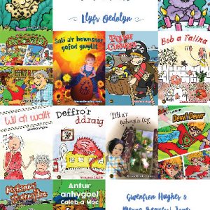 Llyfrau Llafar a Phrint: Llyfr Oedolyn