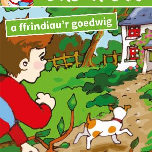 Cyfres Jac a Jes: Jac a Jes a Ffrindiau'r Goedwig