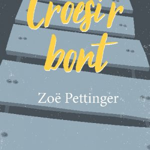 Cyfres Amdani: Croesi'r Bont