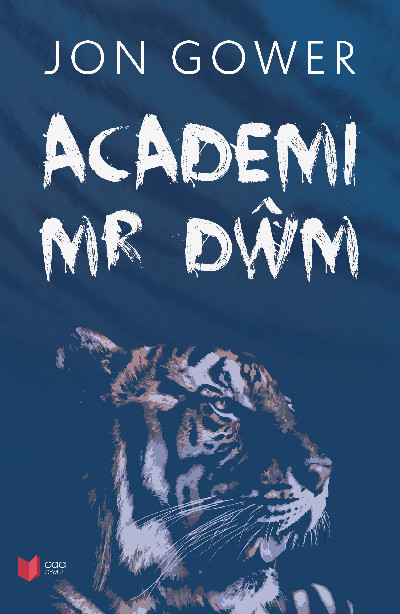 Academi Mr Dŵm