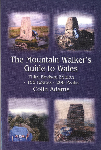 The Mountain Walker's Guide to Wales
