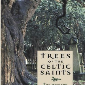 Trees of the Celtic Saints  The Ancient Yews of Wales