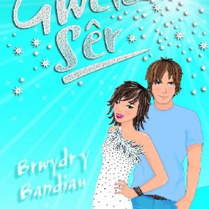 Cyfres Gweld Sêr: 10. Brwydr y Bandiau