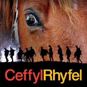 Ceffyl Rhyfel