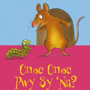 Cyfres Gwalch Balch: 12. Cnoc, Cnoc! Pwy sy 'Na?
