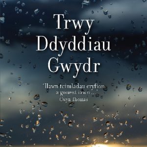 Trwy Ddyddiau Gwydr