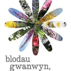 Blodau Gwanwyn, Blodau Gwyn - Cerddi Myrddin Ap Dafydd