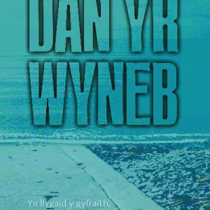 Dan yr Wyneb