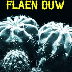 Tuchan o Flaen Duw