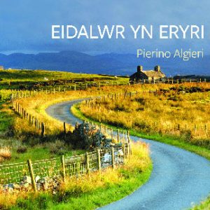 Eidalwr yn Eryri