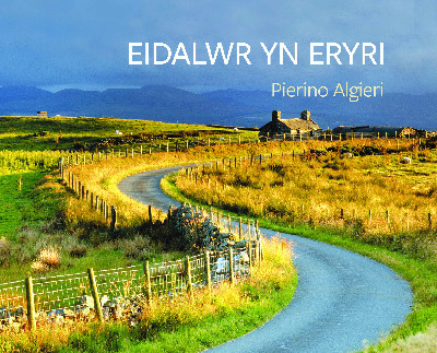Eidalwr yn Eryri