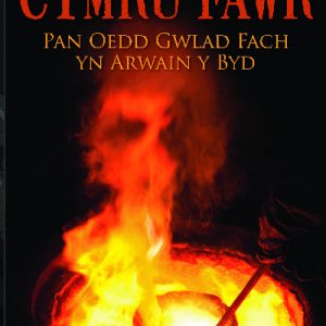 Cymru Fawr - Pan oedd Gwlad Fach yn Arwain y Byd