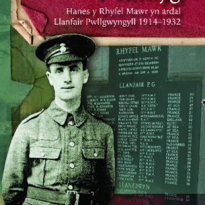 Y Rhwyg - Hanes y Rhyfel Mawr yn Ardal Llanfair Pwllgwyngyll 1914-32