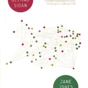 Gwe o Glymau Sidan - Enillydd y Fedal Ryddiaith 2013