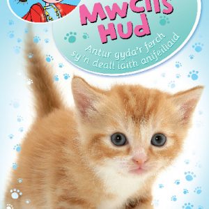 Cadi Wyn a'r Mwclis Hud