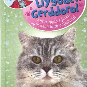 Cadi Wyn a'r Llygoden Gerddorol