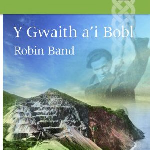 Llyfrau Llafar Gwlad: 86. y Gwaith a'i Bobl