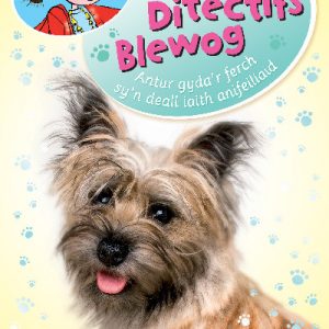 Cadi Wyn a'r Ditectifs Blewog