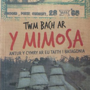 Twm Bach ar y Mimosa