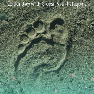 Glaniad - Cerddi Dwy wrth Groesi Paith Patagonia