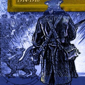 'Arm to Save Your Native Land' - Army Recruiting in North West Wales