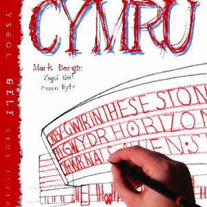 Sut i Dynnu Llun Cymru