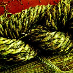 Rhaffau Gwellt - Ysgrifau ac Erthyglau