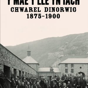 'Y Mae y Lle yn Iach' - Chwarel Dinorwig 1875-1900