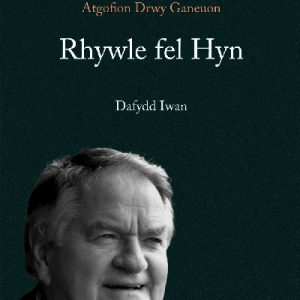 Rhywle Fel Hyn