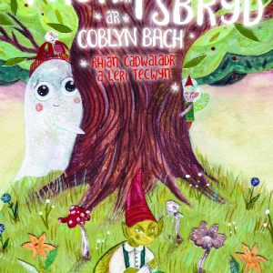 Ynyr yr Ysbryd a'r Coblyn Bach