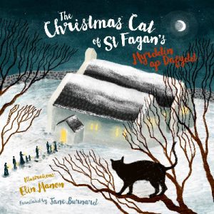 The Christmas Cat at St Fagan's