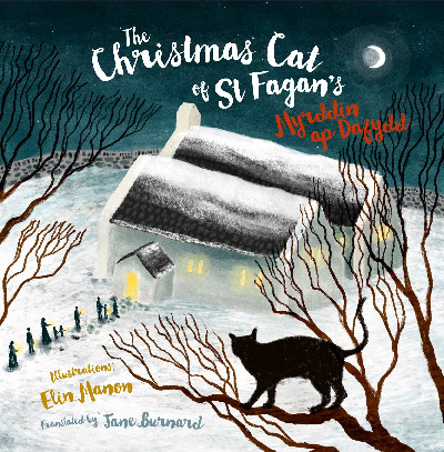 The Christmas Cat at St Fagan's