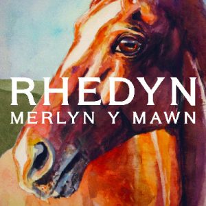 Rhedyn, Merlyn y Mawn