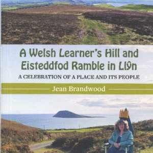 A Welsh Learner's Hill and Eisteddfod Ramble in LlÅ·n