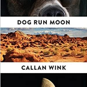 Dog Run Moon