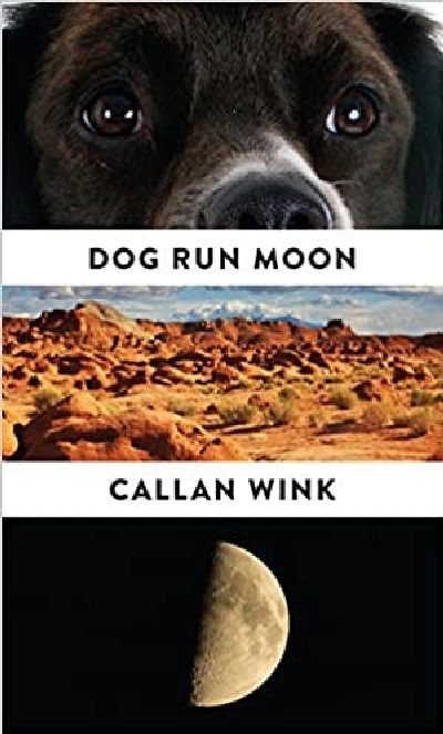 Dog Run Moon