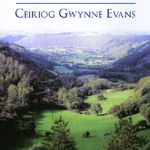 Once upon a Time in Goginan