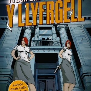 Y Llyfrgell – Enillydd Gwobr Goffa Daniel Owen 2009