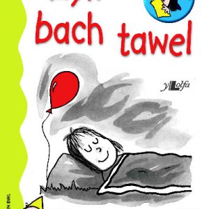 Cyfres Darllen Mewn Dim: Llyfr Bach Tawel