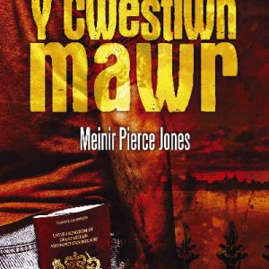 Cyfres yr Onnen: Y Cwestiwn Mawr