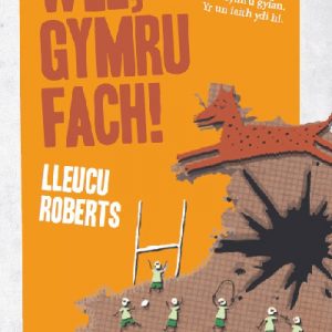 Cyfres Pen Dafad: Wel, Gymru Fach