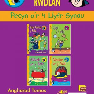 Cyfres Darllen Mewn Dim:Cam Rwdlan: Llyfr Synau - Pecyn