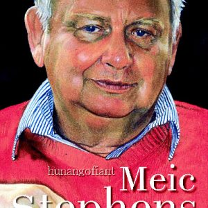 Cofnodion - Hunangofiant Meic Stephens