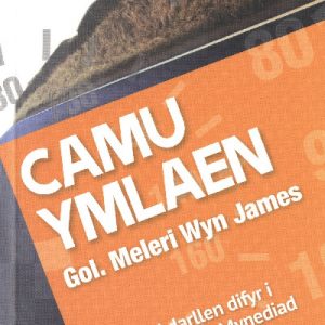 Cyfres ar Ben Ffordd: Camu Ymlaen - Lefel 1 Mynediad