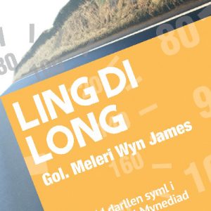 Cyfres ar Ben Ffordd: Ling Di Long