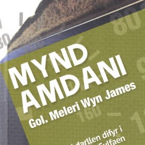 Cyfres ar Ben Ffordd: Mynd Amdani - Lefel 2 Sylfaen