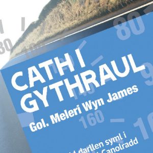 Cyfres ar Ben Ffordd: Cath i Gythraul