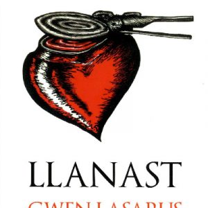 Cyfres Copa: Llanast